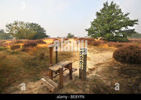 Zaun und Wanderweg im Kalmthoutse Heide Natur reserve, Kalmthout, Belgien Stockfoto