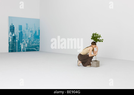 Frau kauert, umarmt eingemachten Baum, Stadtansicht im Hintergrund Stockfoto