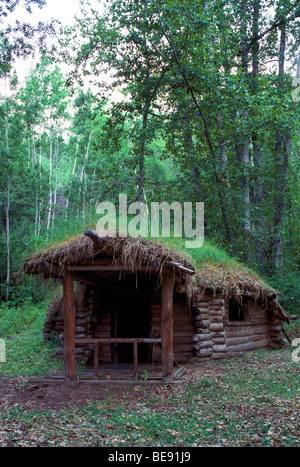 Glenora in der Nähe von Telegraph Creek, BC, Britisch-Kolumbien, Kanada - alte Blockhütte mit Wald bewachsen Sod Grasdach, rustikales Haus, Stockfoto