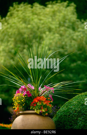 Topfpflanze mit markanten Anordnung, Butchart Gardens, Brentwood Bay, British Columbia, Kanada Stockfoto