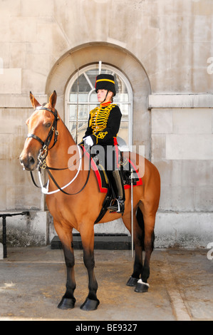 Soldat der Household Cavalry vor Horse Guards, Eingang zum St. James Palace, London, England, United Kingdo montiert Stockfoto