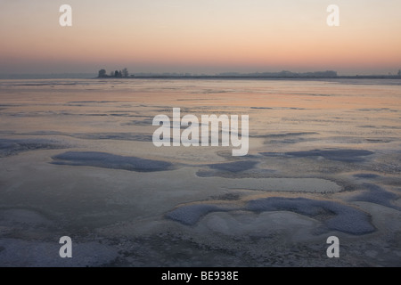 Ijsvlakte Brabantse Biesbosch in avondlicht Stockfoto