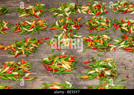 Mit Gemüse und Chili an einen lebhaften Fischmarkt, Sir Selwyn Clarke Market, Market Street, Victoria, Mahé, Sey stehen Stockfoto