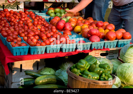 Eine Hand zeigt Tomaten zum Verkauf am Samstagmorgen North Market, Columbus, Ohio Stockfoto