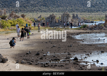 Touristen zu Fuß am Ufer des Mono Lake, Kalifornien Stockfoto
