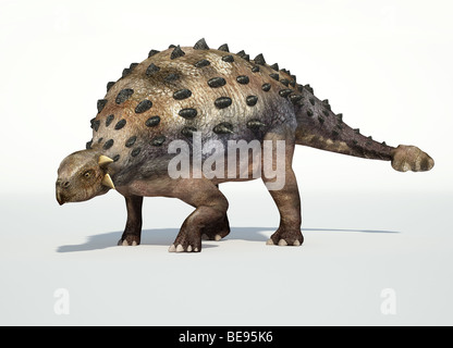 Ankylosaurus fotorealistische 3D-Rendering, fiel mit Schatten auf weißem Untergrund. Stockfoto
