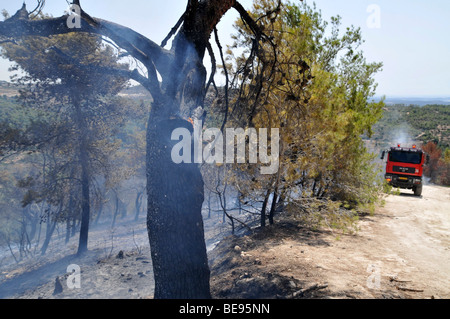 Israel, Carmel Berg, Shekef Wald, Feuerwehrleute löschen einen Waldbrand begann durch Brandstiftung 12. September 2009 Stockfoto