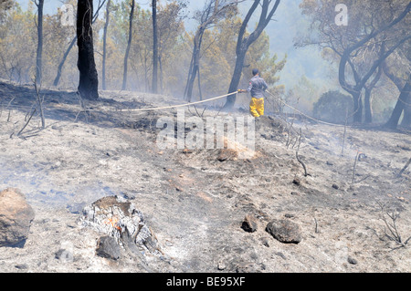 Israel, Carmel Berg, Shekef Wald, Feuerwehrleute löschen einen Waldbrand begann durch Brandstiftung 12. September 2009 Stockfoto