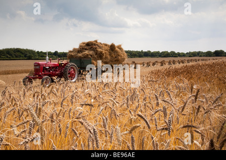 Oldtimer-Traktor und Anhänger in einem Feld Stockfoto