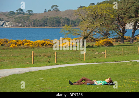 junge Frau, die genießen des sonnigen Wetter im Killarney National Park, Irland Stockfoto