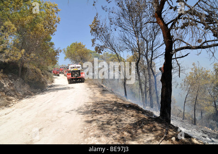 Israel, Carmel Berg, Shekef Wald, Feuerwehrleute löschen einen Waldbrand begann durch Brandstiftung 12. September 2009 Stockfoto