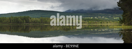 Cairngorm Berge und Abernethy Wald spiegelt sich in der Oberfläche des Loch Garten in der Nähe von Boat of Garten, Cairngorms National Park, Stockfoto