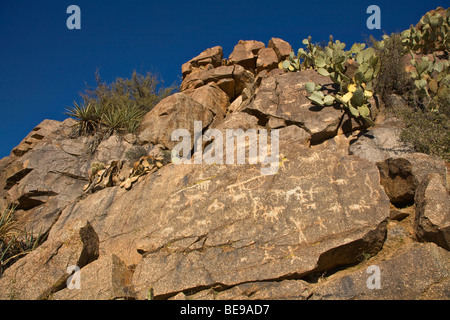 Alte indianische Felszeichnungen auf Felsen entlang Badger Federn waschen bei Agua Fria National Monument, Arizona, BEAN AL Pix 0285 Stockfoto