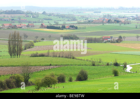 Bocagelandschap traf Hagen En Bomen, Westvlaamse Heuvels, Belgien Bocage-Landschaft mit Hecken und Bäumen, Belgien Stockfoto