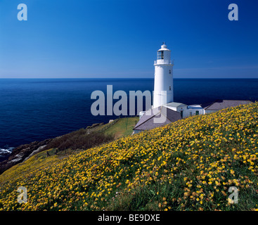 Der Leuchtturm bei Trevose Head an der Nordküste von Cornwall bei Padstow, Cornwall, England. Stockfoto