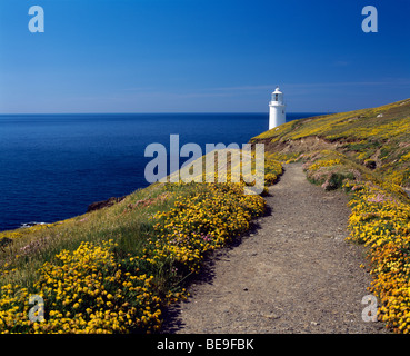 Der Leuchtturm bei Trevose Head an der Nordküste von Cornwall bei Padstow, Cornwall, England. Stockfoto