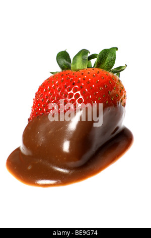 Eine Erdbeere nach wird in Schokoladensoße getaucht Stockfoto