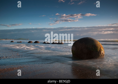 Die Moeraki Boulders, Koekohe Strand, Südinsel, Neuseeland Stockfoto