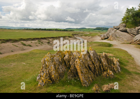 Morecambe Bay in Humphrey Head in der Nähe von Flookburgh. Stockfoto