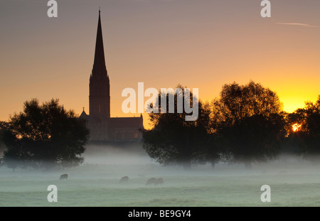 Kathedrale von Salisbury angesehen von Harnham Sumpfwiesen bei Sonnenaufgang Stockfoto