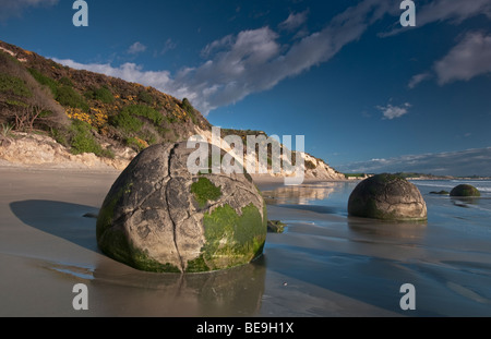 Die Moeraki Boulders, Koekohe Strand, Südinsel, Neuseeland Stockfoto