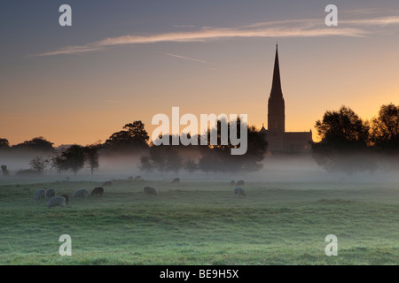 Kathedrale von Salisbury angesehen von Harnham Sumpfwiesen bei Sonnenaufgang Stockfoto