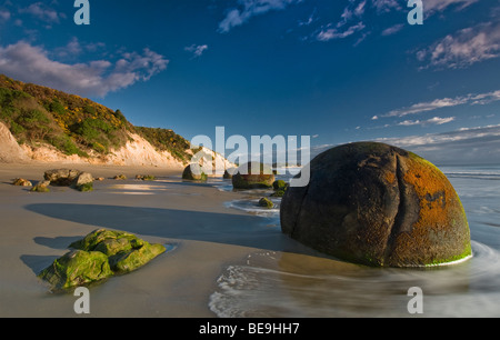 Die Moeraki Boulders, Koekohe Strand, Südinsel, Neuseeland Stockfoto