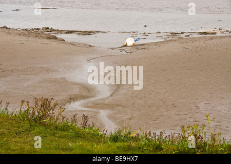 Salzwiesen und Wattflächen neben der Mündung des Flusses Kent bei Arnside, Morecambe Bay. Stockfoto