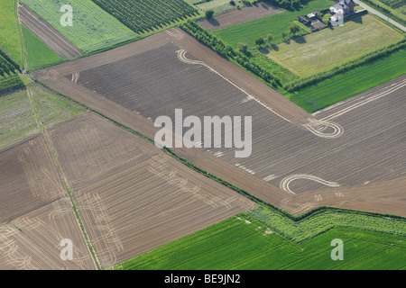 Landwirtschaftliche Fläche mit Feldern und Wiesen aus der Luft, Belgien Stockfoto