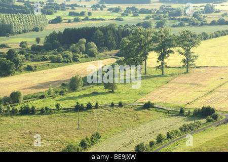 Bocagelandschap traf Hagen En Bomen, Viroinvallei, Belgien Bocage-Landschaft mit Hecken und Bäumen, Tal des Viroin, Belgien Stockfoto