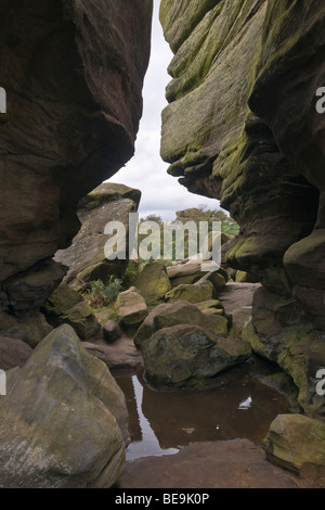 Felsformationen im Brimham Rocks, North Yorkshire Stockfoto