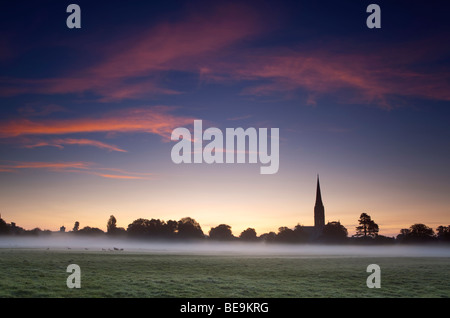 Kathedrale von Salisbury angesehen von Harnham Auen im Morgengrauen Stockfoto