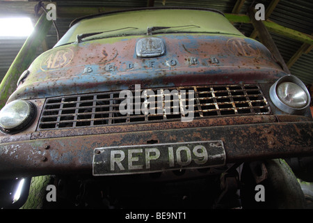 Bedford TK LKW (ca. 1960), in Bauern Scheune Stockfoto