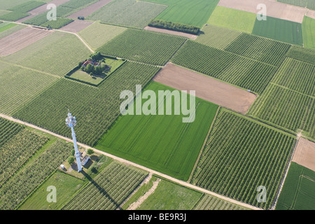 Landwirtschaftliche Fläche mit Feldern, Wiesen und Mast aus der Luft, Belgien Stockfoto