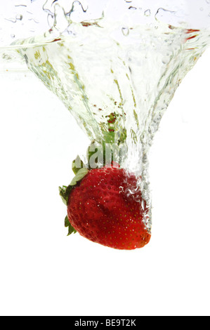 Erdbeere, fiel in das Wasser vor einem weißen Hintergrund isoliert Stockfoto