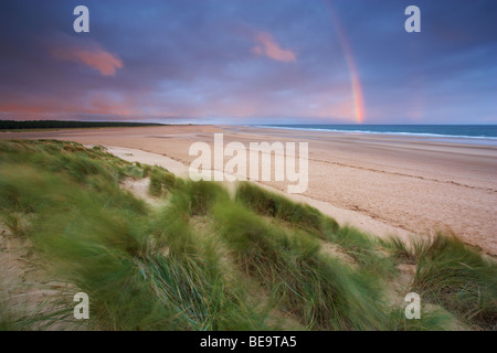 Eine stimmungsvolle Sommermorgens am Holkham Bucht an der Nordküste Norfolk Stockfoto