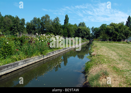 Les Hortillonnages in Amiens, Picardie, Norden von Frankreich, Europa Stockfoto