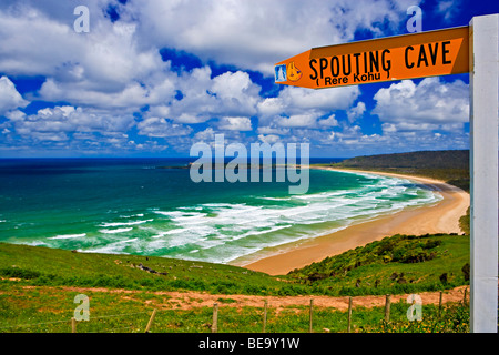 Tautuku Bay und Tautuku Halbinsel und Strand von Florenz Hill Lookout entlang der Catlins Coastal Heritage Trail, südliche S gesehen Stockfoto