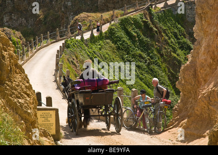 dh Channel Islands Causeway LA Coupée SARK INSEL Touristen Fahrräder Pferdekutsche Pferd Buggy Pony Cart guernsey Fahrrad Stockfoto