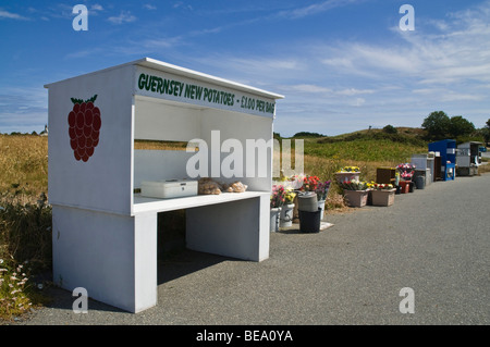 dh VALE GUERNSEY Regionale Produkte auf einem ländlichen Heckenmarkt in Guernsey, der Gemüsestände am Straßenrand verkauft, Honesty Box Veg Stockfoto