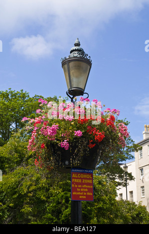 dh ST PETER PORT GUERNSEY Alkohol freie Zone Zeichen dekorative Blumen am Laternenpfahl Stockfoto