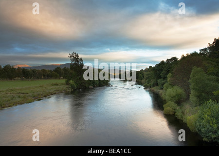 River Spey Blick stromaufwärts von der Straßenbrücke in Richtung der Cairngorm Mountains, Boat of Garten, Schottland, Großbritannien Stockfoto