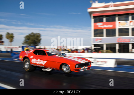 Einen roten Ford Mustang startet von der Startlinie bei einer Veranstaltung NHRA mit seine Vorderräder aus dem Boden. Stockfoto