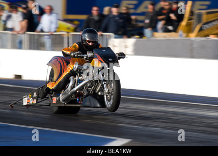 Motorrad bei einer Veranstaltung der NHRA Drag Racing. Stockfoto