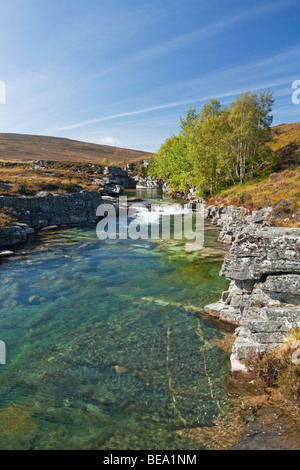 Brust von Dee Wasserfälle auf dem Fluss Dee in Glenn Dee Valley, Schottland, Großbritannien Stockfoto