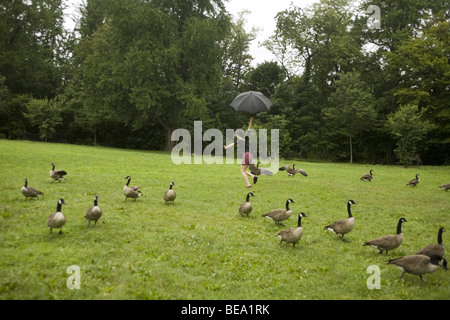 Junge Frau unter Gänse bei leichtem Regen. Stockfoto