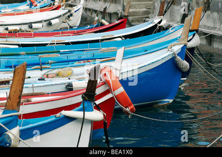 Eine Katze schläft auf traditionelle Fischerboote in Riomaggiore, La Spezia, Ligurien, Nordwesten von Italien. Stockfoto