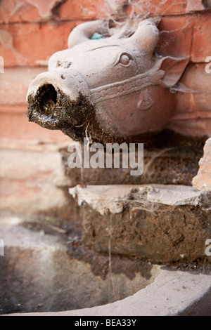 Bull Head Brunnen in Varanasi, Indien Stockfoto