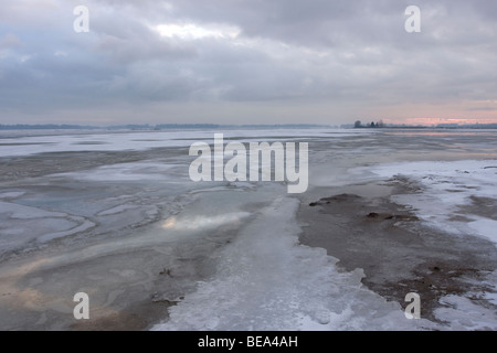 Ijsvlakte Brabantse Biesbosch Stockfoto