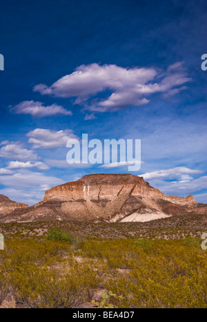 Drei Deich Hill im Big Bend Ranch State Park, Texas, USA. Stockfoto